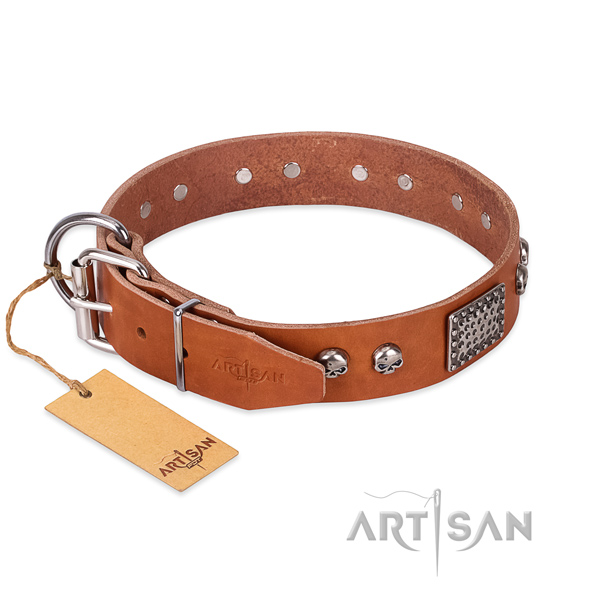 Rust resistant studs on daily use dog collar