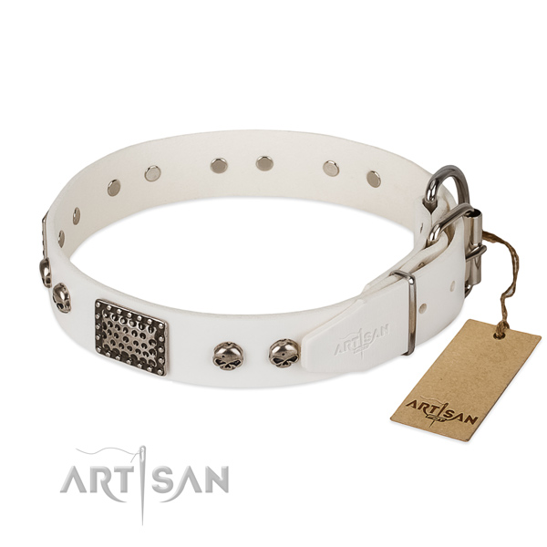 Rust-proof hardware on daily use dog collar
