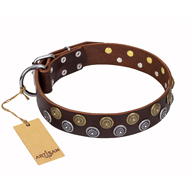 "Strong Shields" FDT Artisan leather Collie collar with stylish decorations