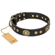 "Golden Radiance" FDT Artisan Black Leather Collie Collar with Old Bronze Look Ovals and Circles