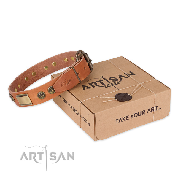 Rust resistant fittings on full grain leather dog collar for fancy walking