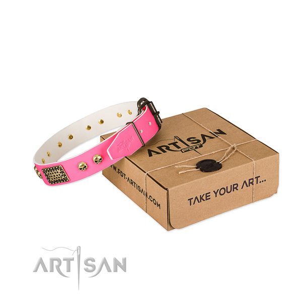 Rust resistant studs on dog collar for comfortable wearing