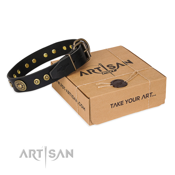 Full grain genuine leather dog collar made of best quality material with corrosion resistant buckle