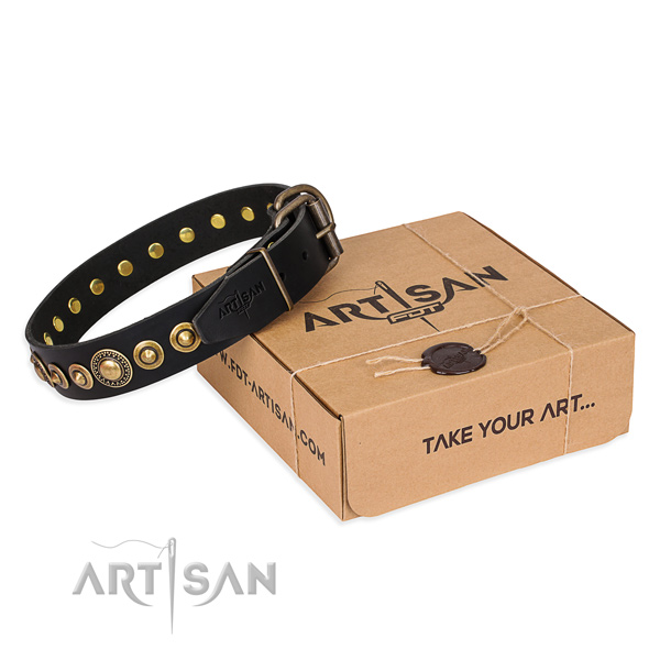 Top notch full grain leather dog collar created for handy use