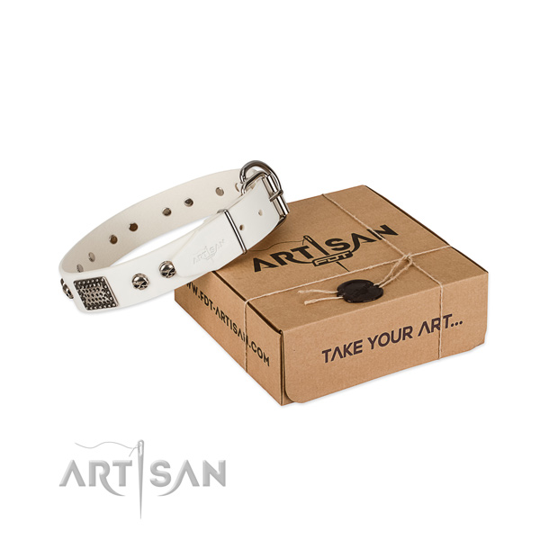 Durable studs on dog collar for comfy wearing