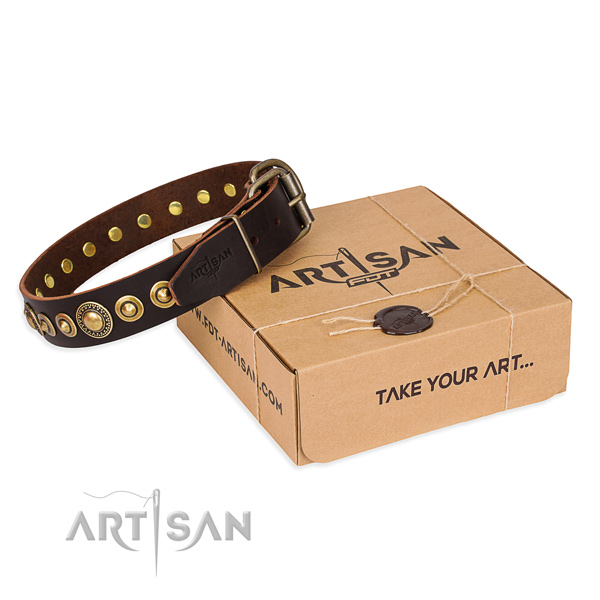 Top rate leather dog collar made for fancy walking