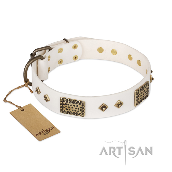 Stunning full grain leather dog collar for walking