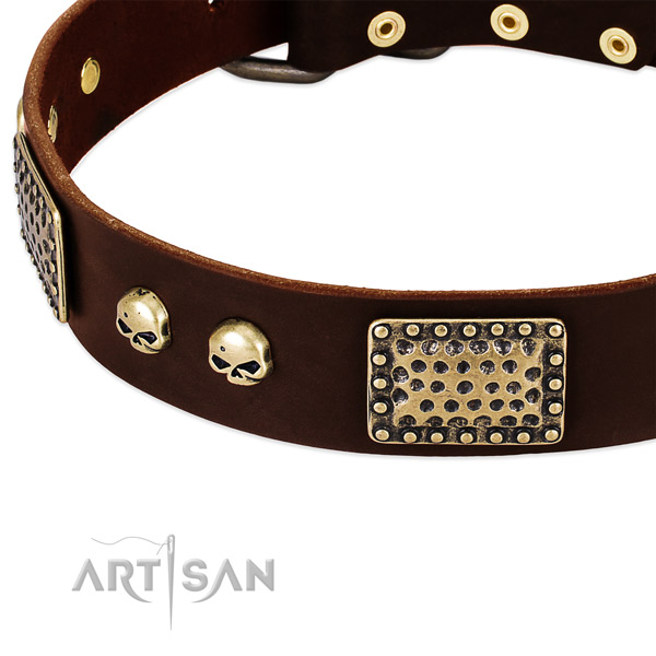 Reliable embellishments on genuine leather dog collar for your canine