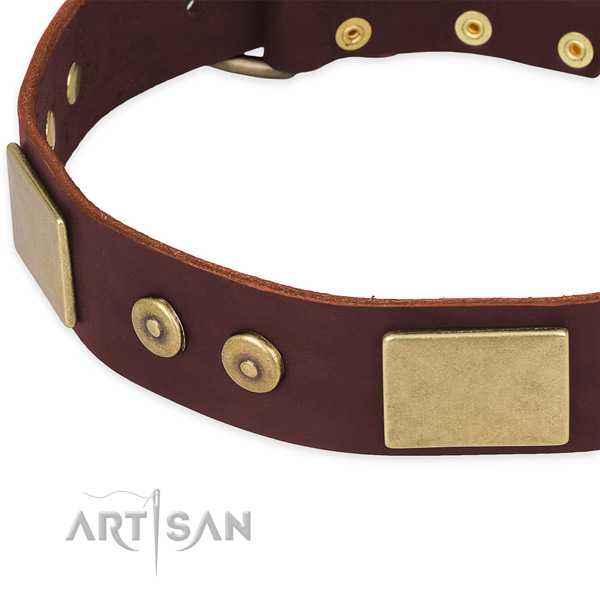 Leather dog collar with decorations for easy wearing