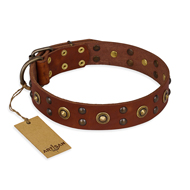 "Unfailing Charm" FDT Artisan Studded Tan Leather Collie Collar