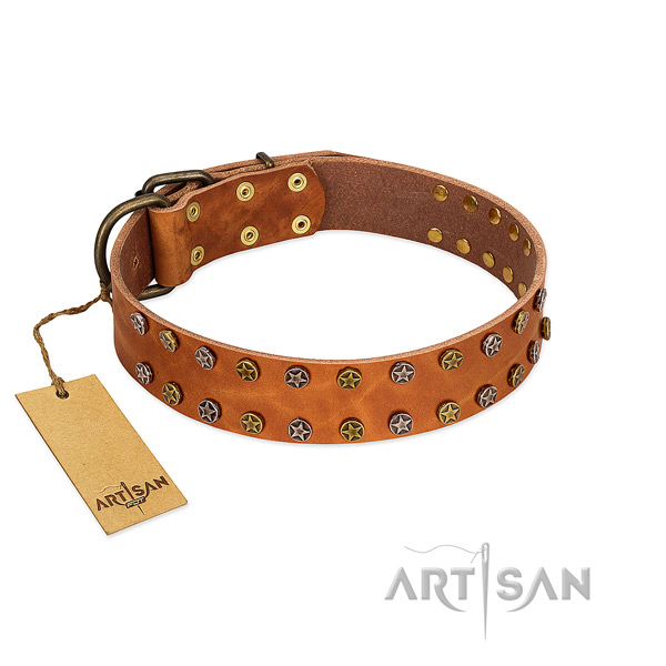 Easy wearing reliable genuine leather dog collar with adornments