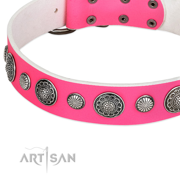 Genuine leather collar with reliable buckle for your attractive four-legged friend