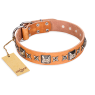 "Glamour Finery" FDT Artisan Female Collie collar of natural leather with stylish old-looking circles