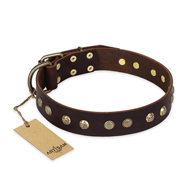 "Bronze Sheen" FDT Artisan Leather Collie Collar with Brass-Plated Studs