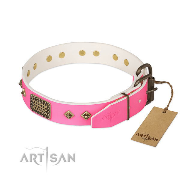 Corrosion proof traditional buckle on walking dog collar