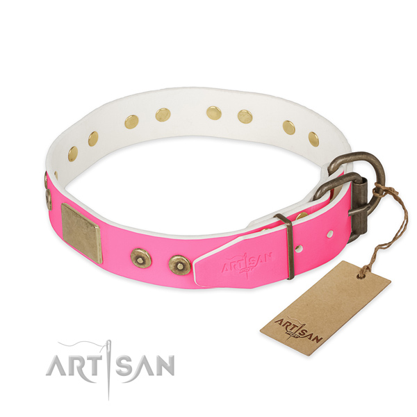 Rust-proof hardware on stylish walking dog collar