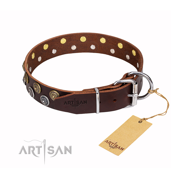 Everyday use studded dog collar of top quality leather