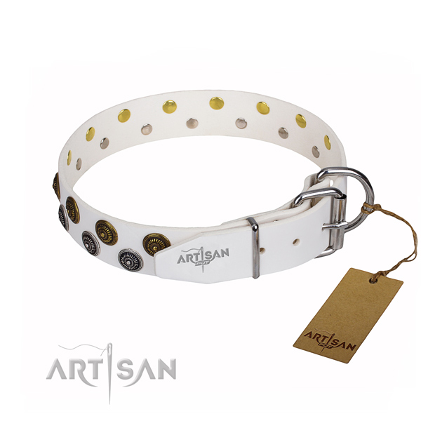Everyday use adorned dog collar of fine quality leather
