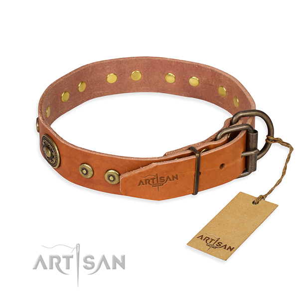 Leather dog collar made of top notch material with rust resistant embellishments