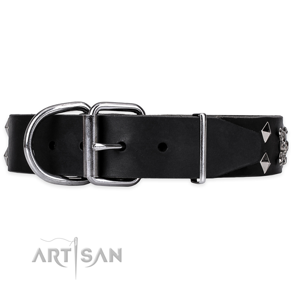 Stylish walking embellished dog collar of durable leather