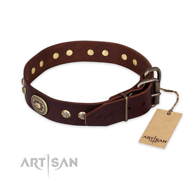 Durable buckle on leather collar for walking your pet