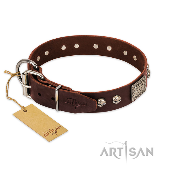 Rust resistant D-ring on everyday walking dog collar