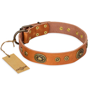 "Dandy Pet" FDT Artisan Handcrafted Tan Leather Collie Collar