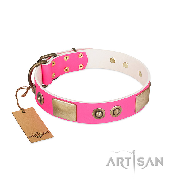 Corrosion proof D-ring on full grain natural leather dog collar for your pet