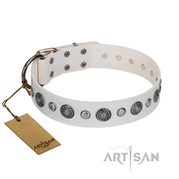 Flexible Full grain natural leather dog collar with corrosion proof buckle