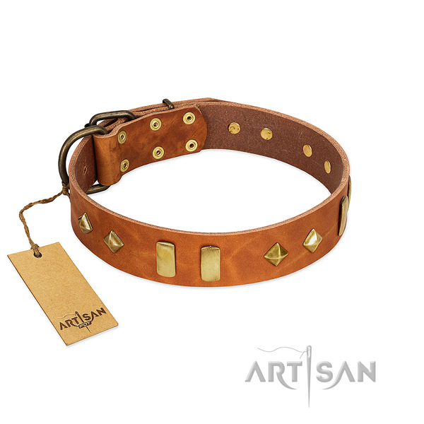Daily use quality full grain leather dog collar with adornments