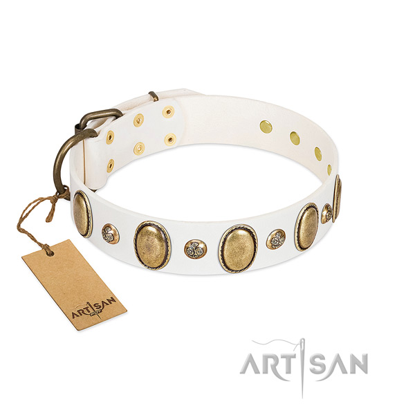 Natural leather dog collar of gentle to touch material with unusual embellishments