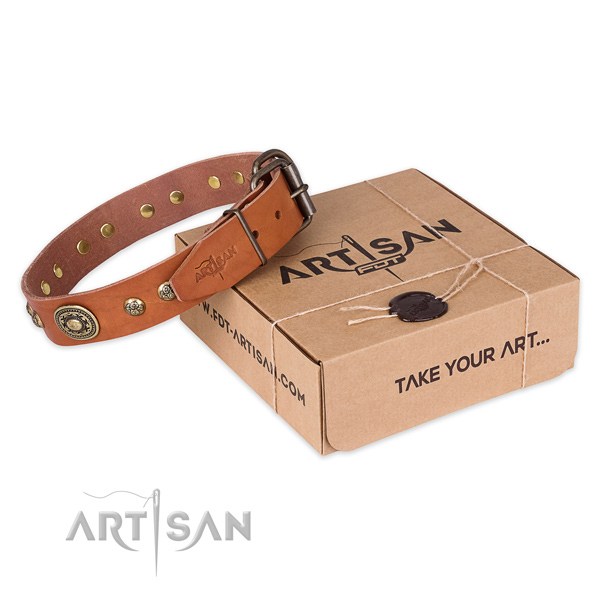 Rust-proof traditional buckle on leather dog collar for fancy walking