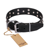 "Mystic Skulls" Decorated Leather Collie Collar with Skulls and Studs