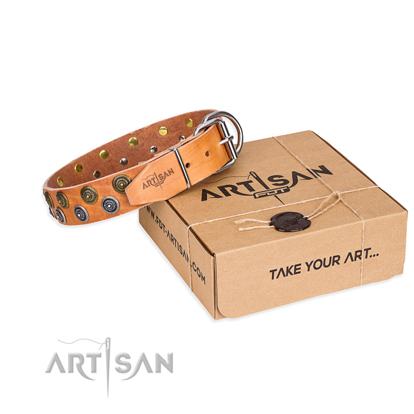 Fancy walking dog collar of best quality full grain natural leather with adornments