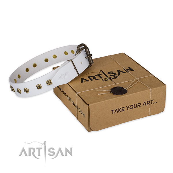Corrosion resistant D-ring on full grain natural leather dog collar for stylish walking