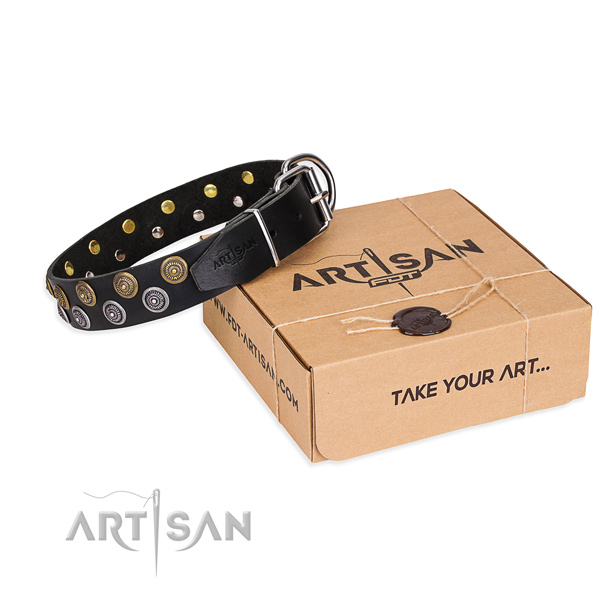 Basic training dog collar of top notch leather with embellishments