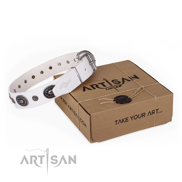 High quality natural genuine leather dog collar handmade for everyday use