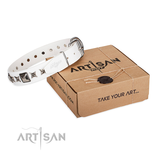 Daily use full grain genuine leather dog collar with adornments