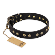 "Black Elegance" FDT Artisan Leather Collie Collar with Round Studs