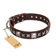 "Perfect Impression" FDT Artisan Brown Leather Collie Collar with Silvery Square Studs