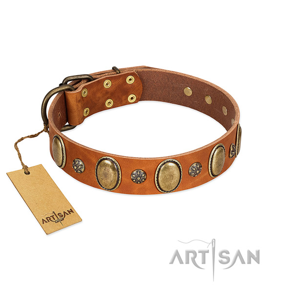 Everyday walking flexible genuine leather dog collar with studs