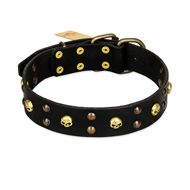 "Heavy Metal" Leather Collie Collar with Skulls and Studs 1 1/2 inch (40 mm)