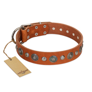 "Natural Beauty" FDT Artisan Tan Leather Collie Collar with Shining Silver-like Studs