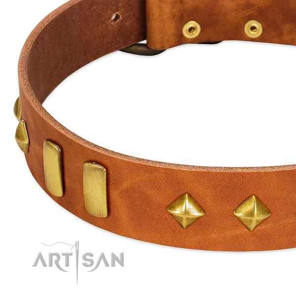 Fancy walking genuine leather dog collar with exquisite adornments