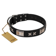 "Pitch Dark" FDT Artisan Black Leather Collie Collar with Stars and Plates