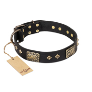 "Jewel Passion" FDT Artisan Fashionable Black Leather Collie Collar