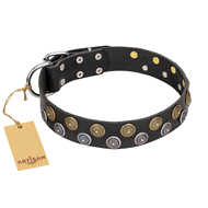 "Romantic Breeze" FDT Artisan Black Leather Collie Collar with Sparkling Circles