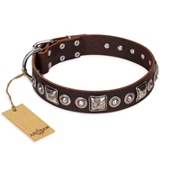 "Pierian spring" FDT Artisan Brown Leather Collie Collar with Silvery Decorations