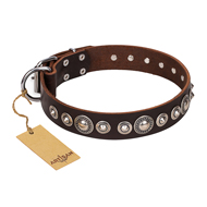 "Step and Sparkle" FDT Artisan Glamorous Studded Brown Leather Collie Collar
