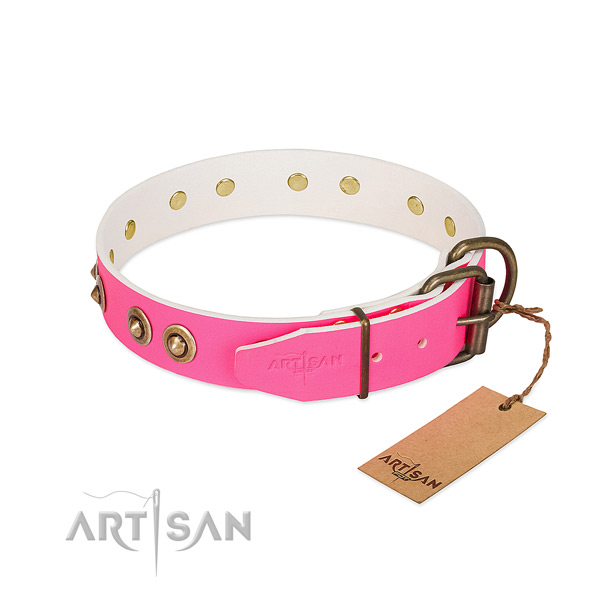Full grain leather dog collar with reliable fittings and adornments
